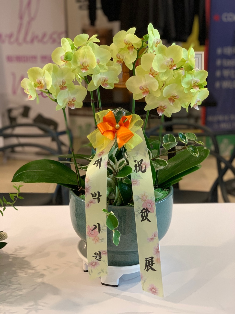 제1회 보물찾기 플랫폼 분양 사업설명회